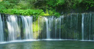 愛犬との軽井沢旅行！計画に入れておきたいおすすめスポット5選