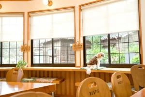 民宿 砂の館