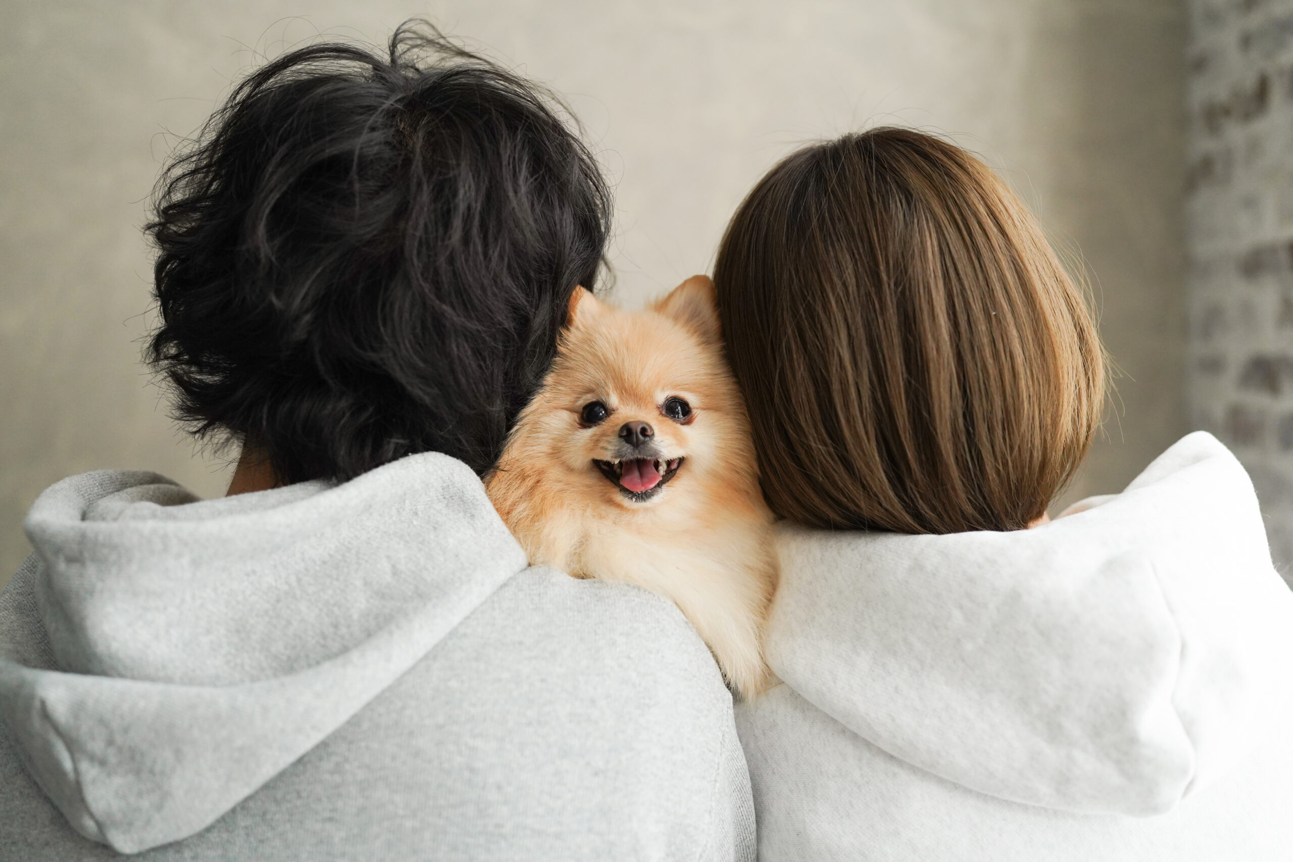 【東京】愛犬とお出かけしよう！おすすめスポット10選